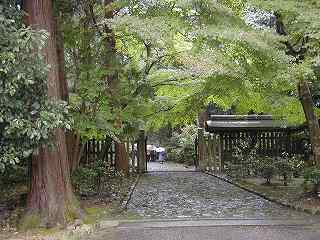 20041019tenchi (1).jpg